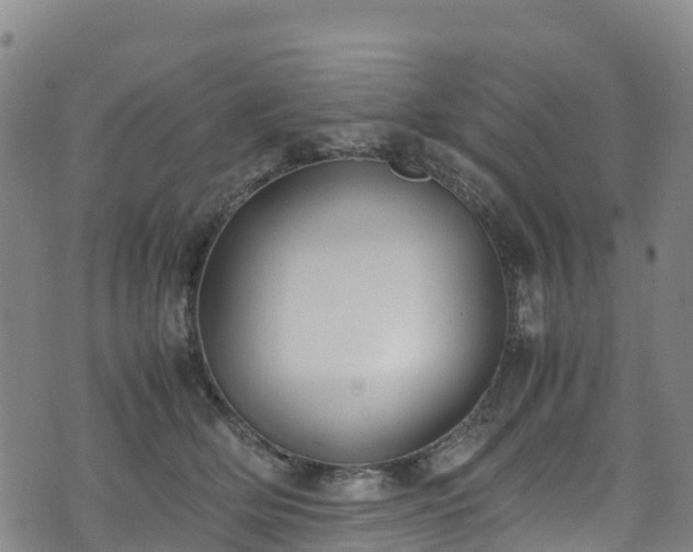 X0000072500514200607211253