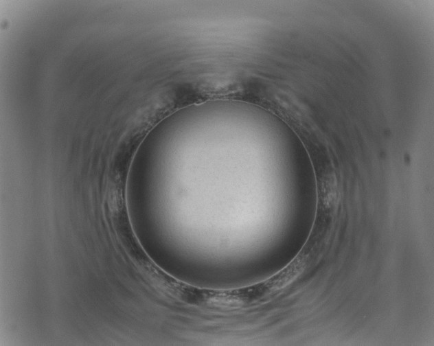 X0000072500515200607211253