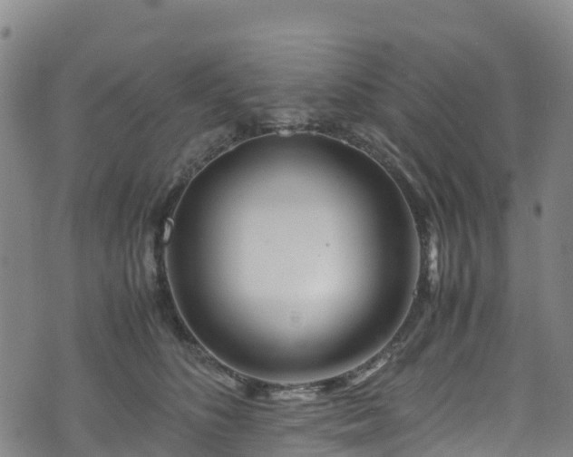 X0000072500516200607211253