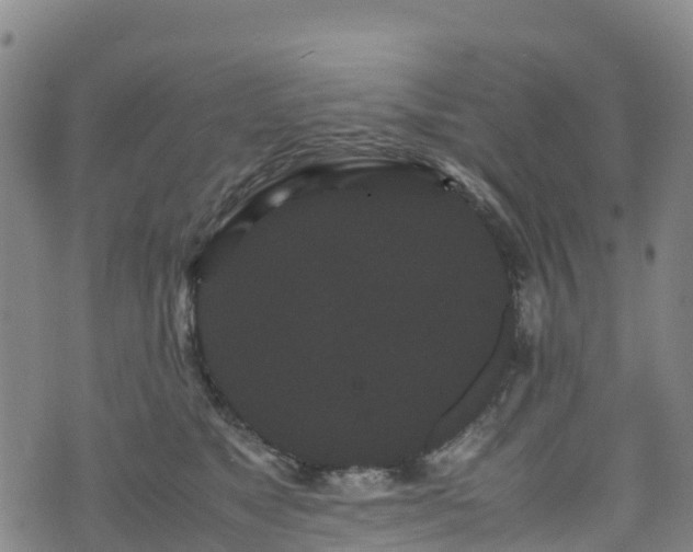 X0000072500517200607211253