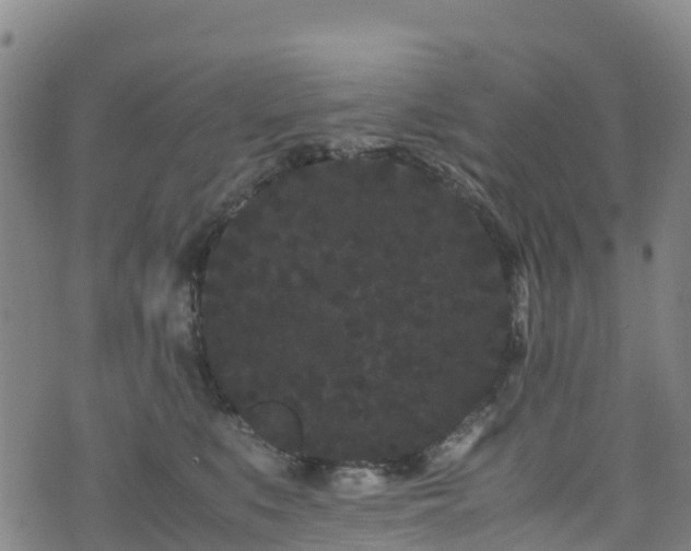 X0000072500519200607211253