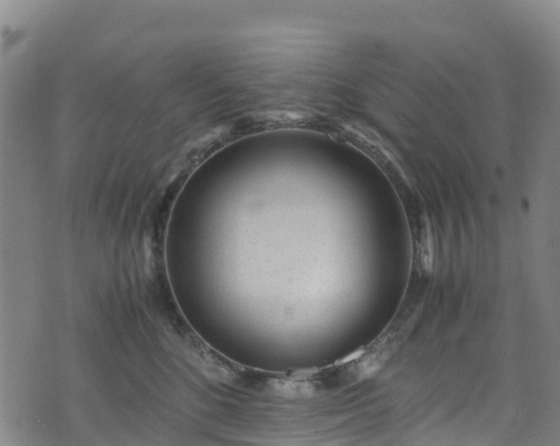 X0000072500520200607211252