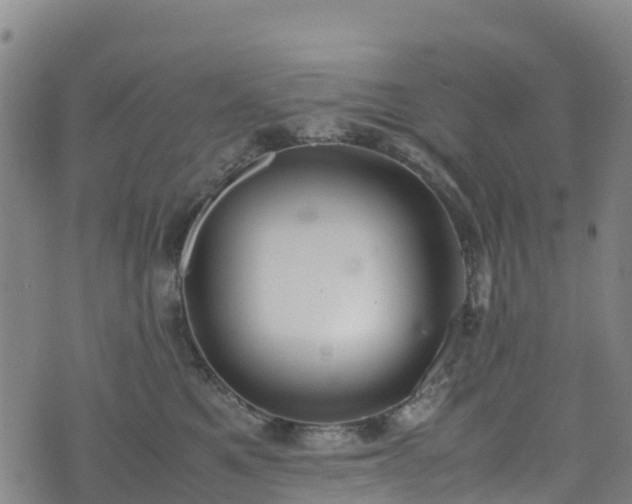 X0000072500521200607211252