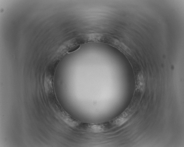 X0000072500522200607211252