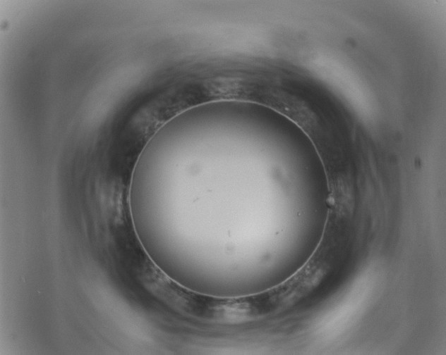 X0000072500525200607211252