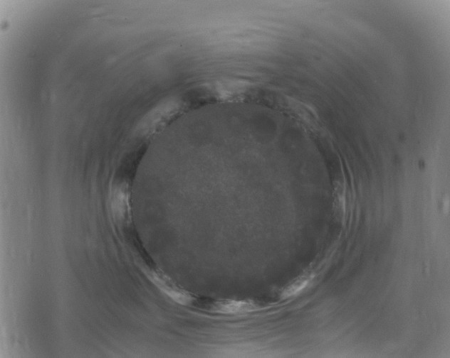 X0000072500527200607211252