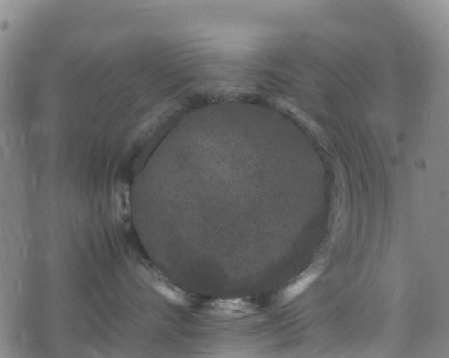 X0000072500528200607211252