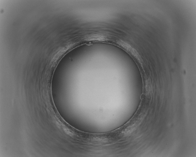 X0000072500529200607211252