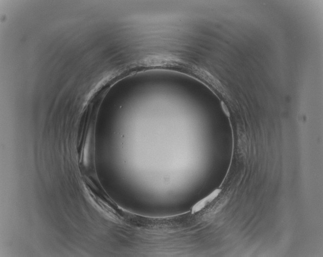 X0000072500530200607211252