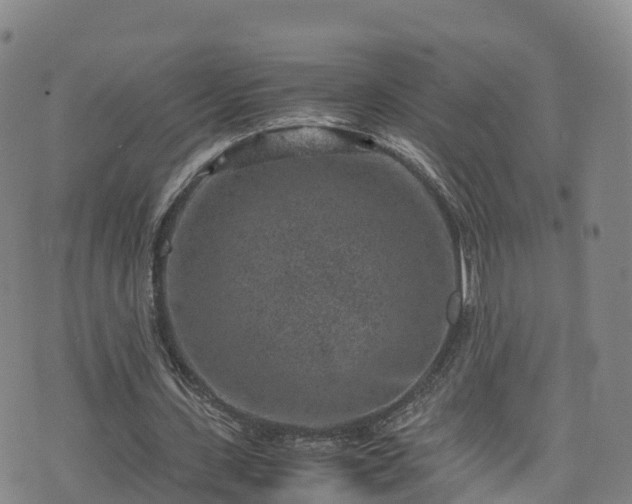 X0000072500531200607211252