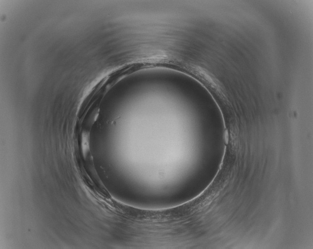 X0000072500532200607211252