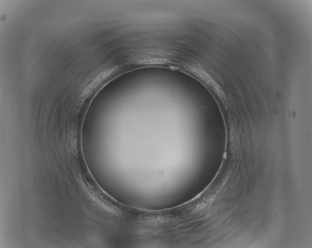 X0000072500533200607211252