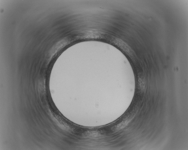 X0000072500534200607211252