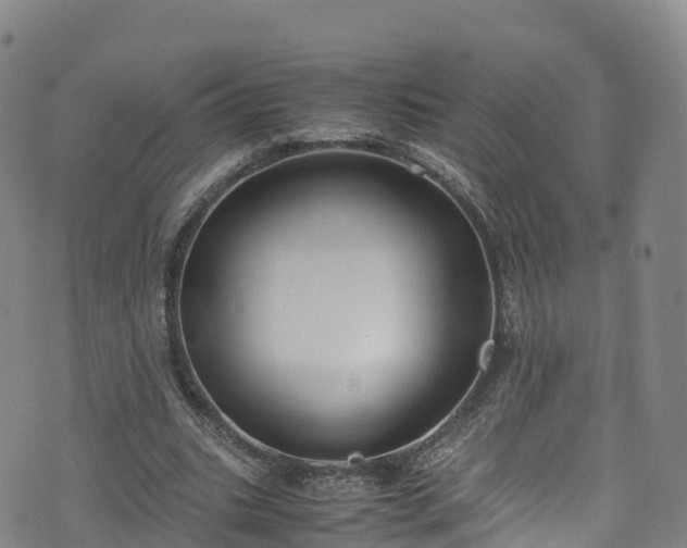 X0000072500535200607211252