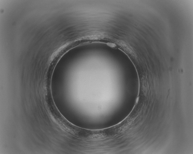 X0000072500536200607211252