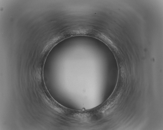 X0000072500537200607211252