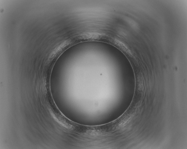 X0000072500538200607211252