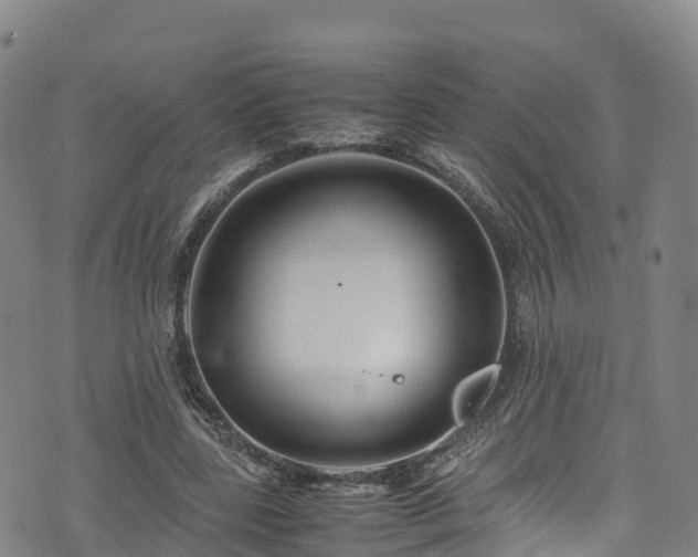 X0000072500539200607211252