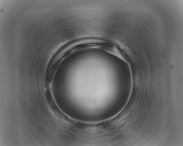 X0000072500540200607211252