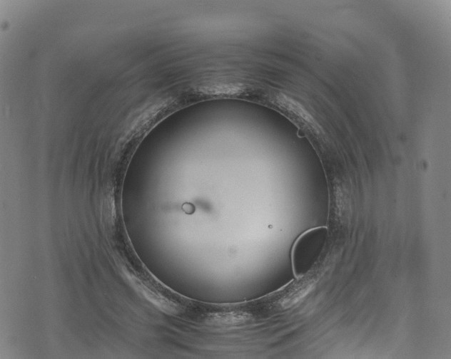 X0000072500541200607211252