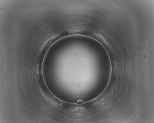 X0000072500543200607211252