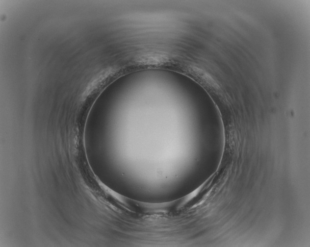 X0000072500544200607211252