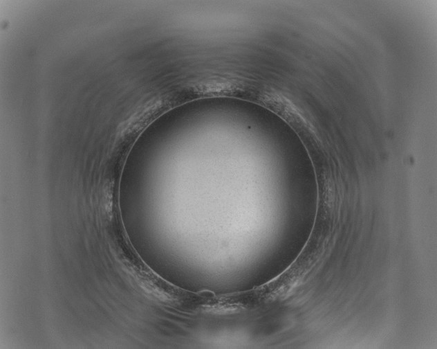 X0000072500545200607211252