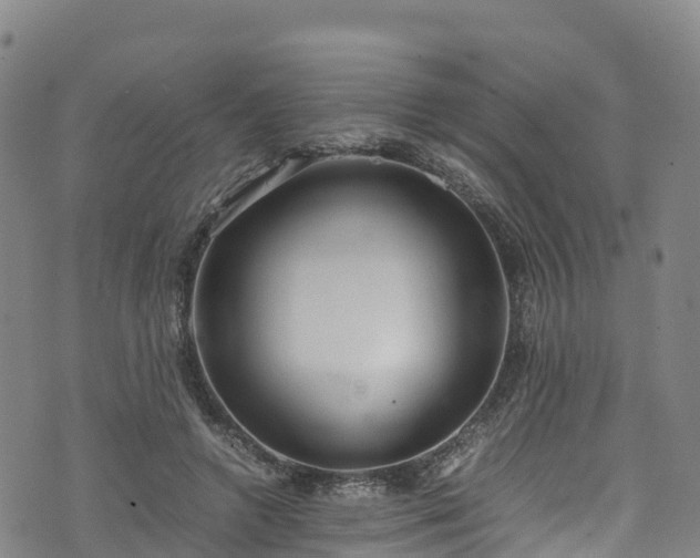 X0000072500546200607211252