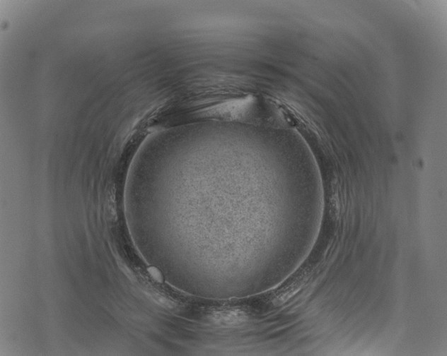 X0000072500547200607211252