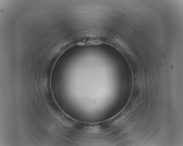 X0000072500548200607211252