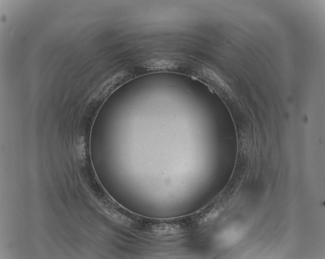 X0000072500549200607211252