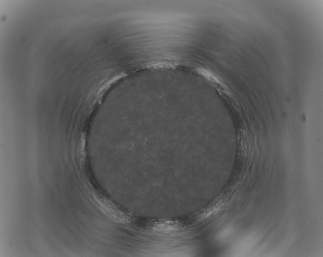 X0000072500550200607211252