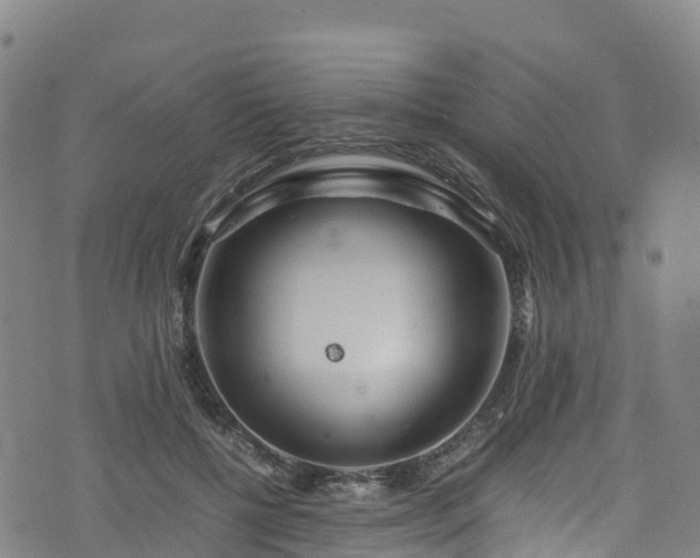 X0000072500552200607211252