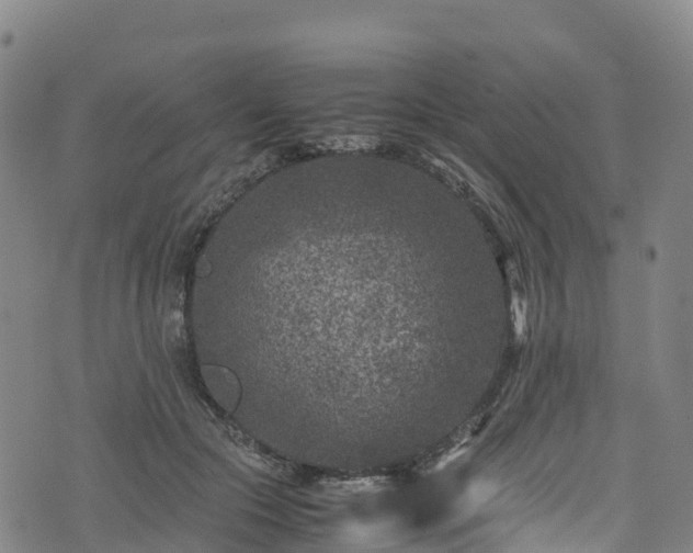 X0000072500553200607211252