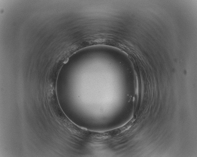 X0000072500555200607211252