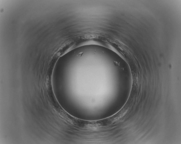 X0000072500556200607211252