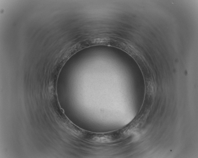 X0000072500557200607211252