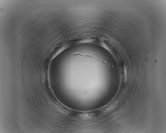 X0000072500558200607211252