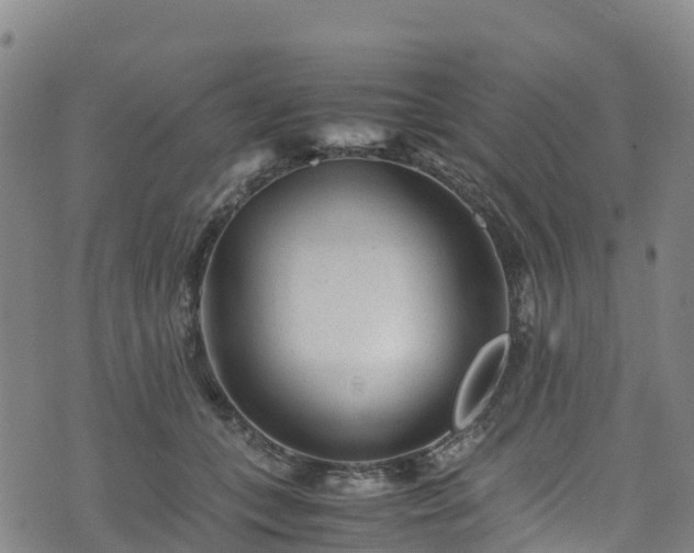 X0000072500559200607211252