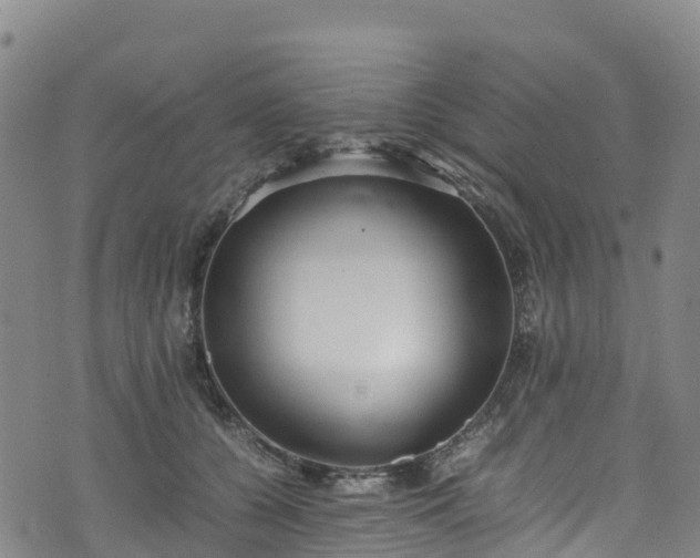 X0000072500560200607211252