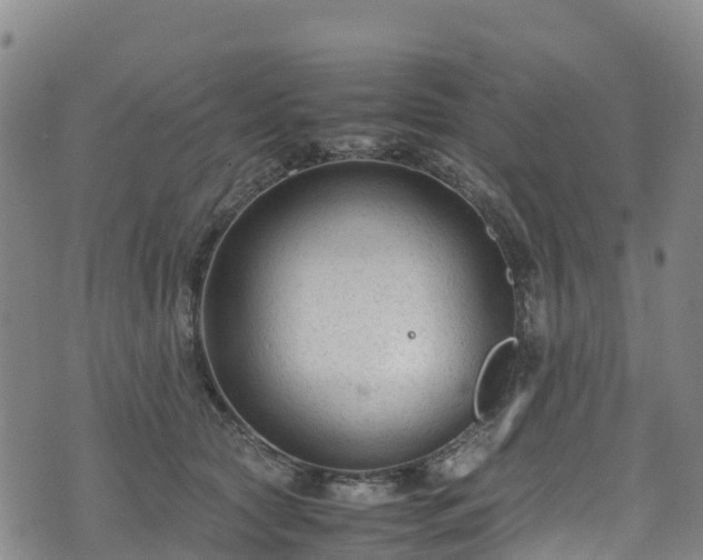 X0000072500561200607211252