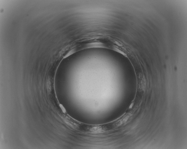 X0000072500562200607211252