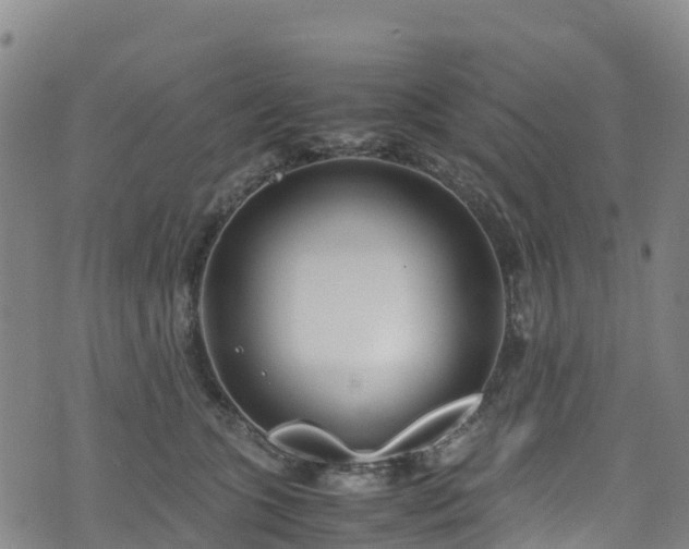 X0000072500563200607211252