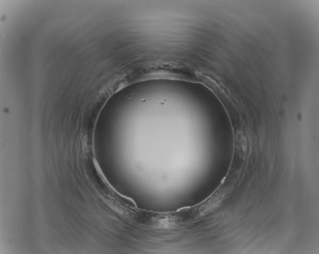 X0000072500564200607211252