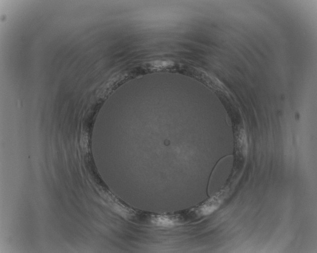 X0000072500565200607211252