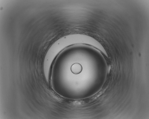 X0000072500566200607211252