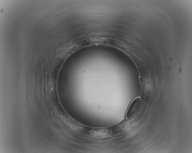 X0000072500567200607211252