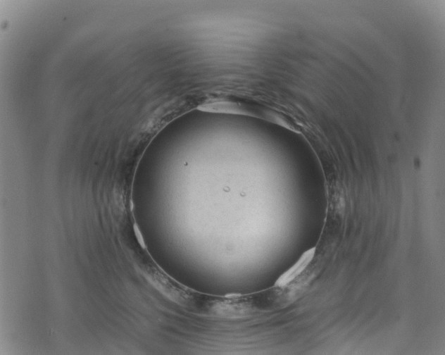 X0000072500568200607211252