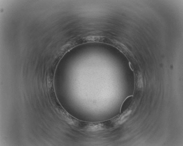 X0000072500569200607211252