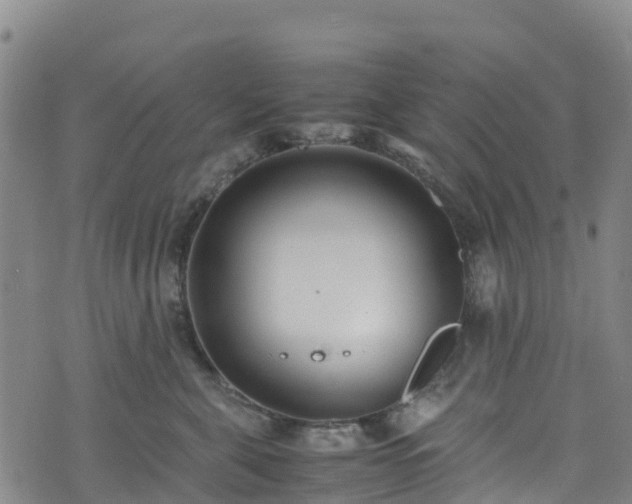 X0000072500571200607211252